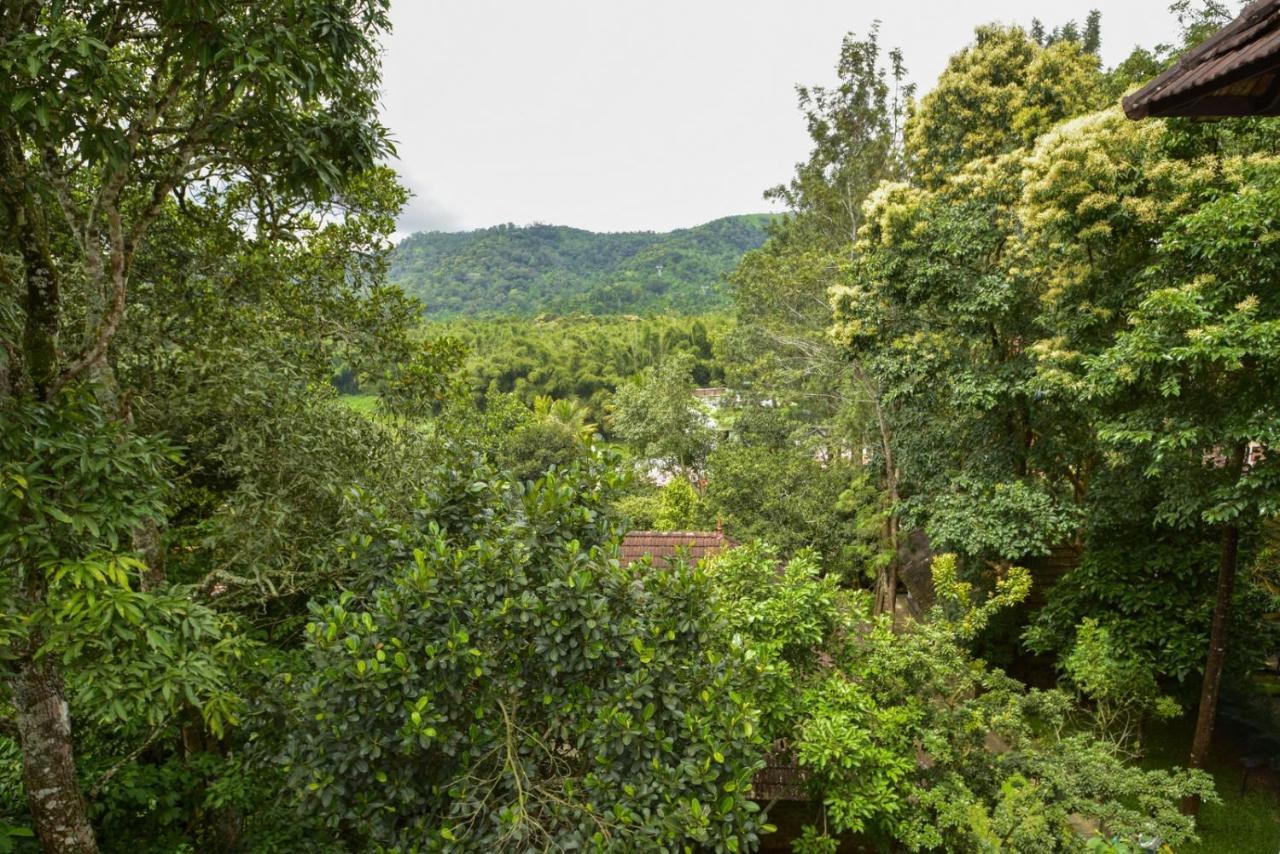 Hotel Treetop Thekkady Eksteriør billede